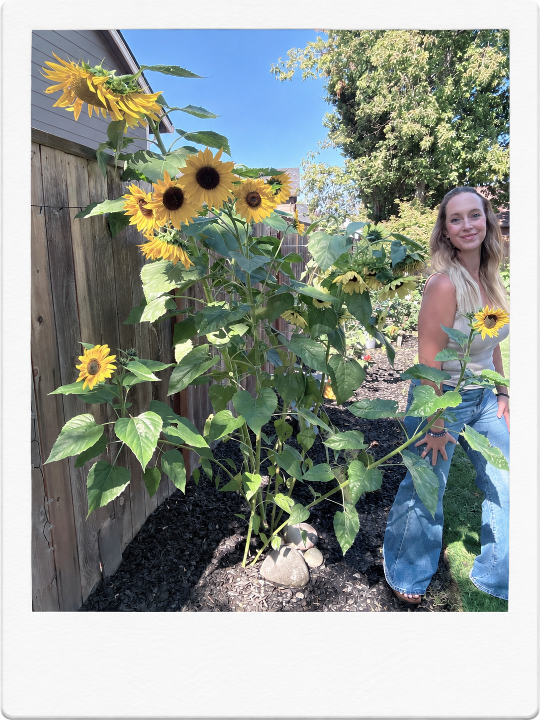Sara styling Levi’s Ribcage Bell jeans in a sunflower garden.